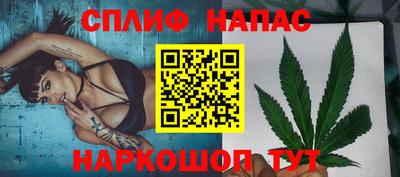 МДПВ Славгород