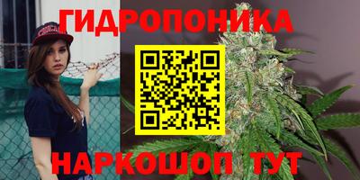 МДПВ Славгород