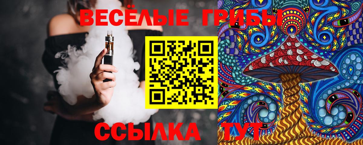 Галлюциногенные грибы Psilocybine cubensis Саянск