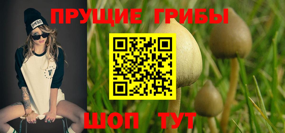 Саянск  Псилоцибиновые грибы MAGIC MUSHROOMS  где купить наркоту  Вход с VPN 